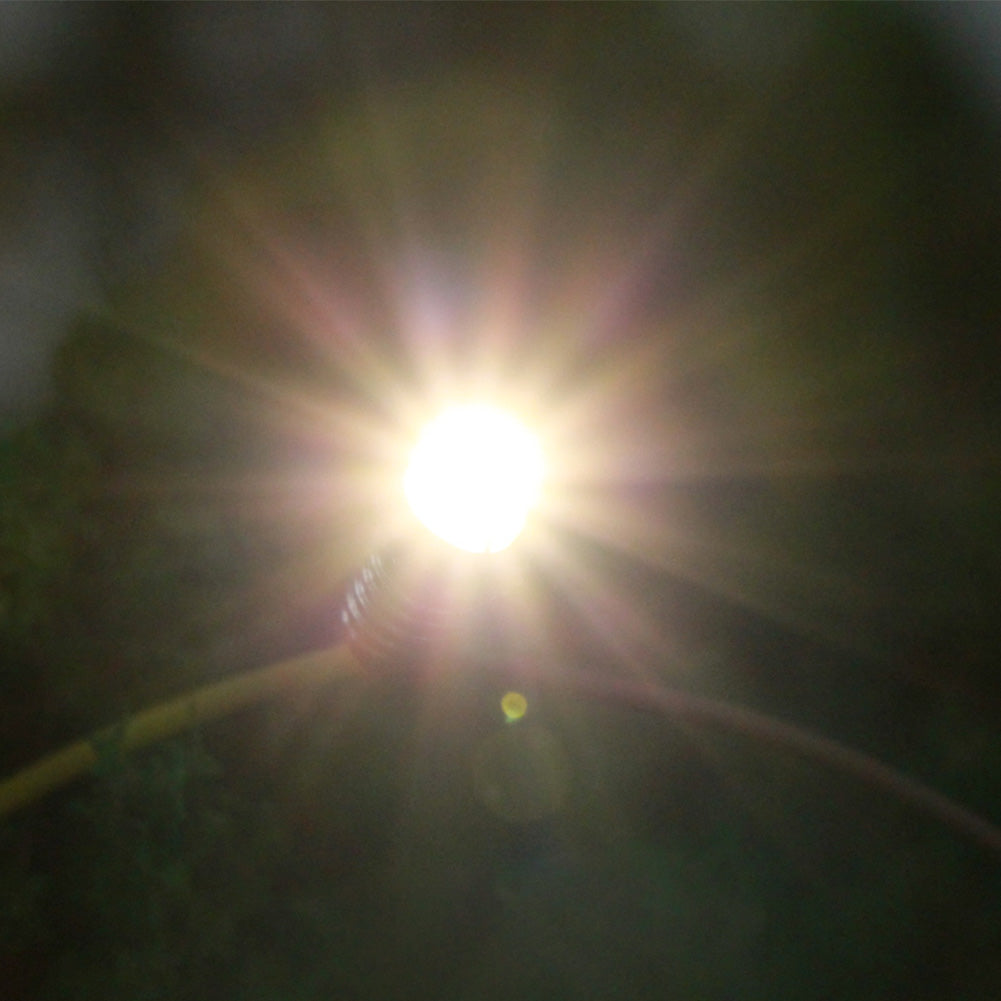 E501 10pcs Screw Bulbs E5 E5.5 Leds 12V