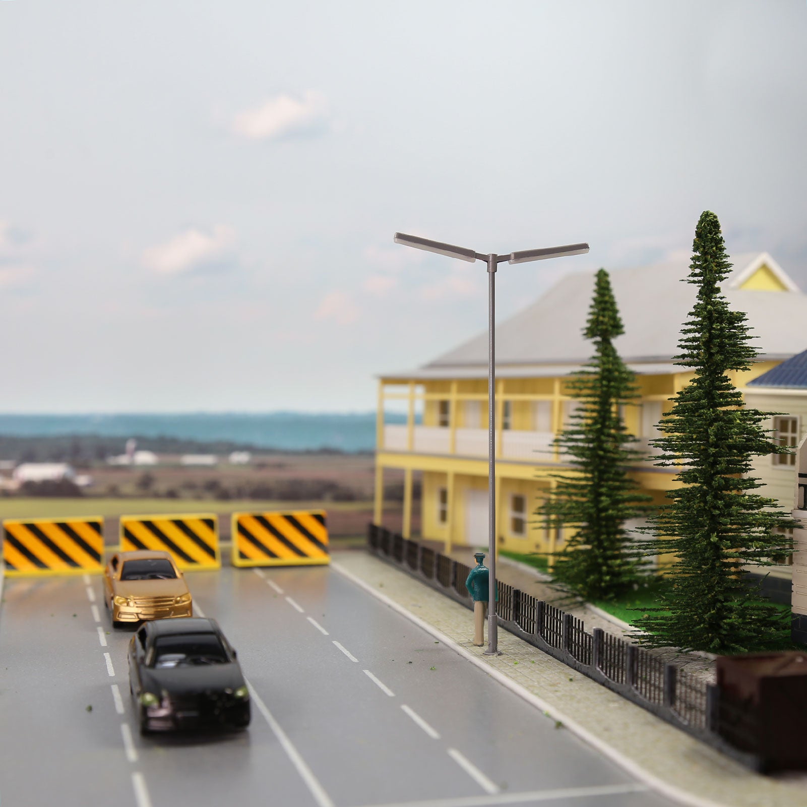 LD06 5pcs Two-heads Lamppost Street Light LED with Cover