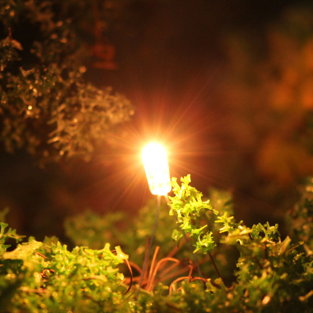 MP02 100pcs 3mm 12V Mini Grain of Wheat Bulbs